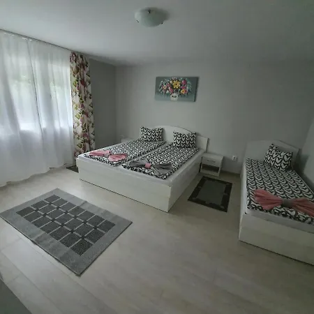 Apartment Casa De Oaspeti Anna