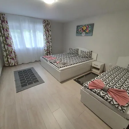 Casa De Oaspeti Anna *